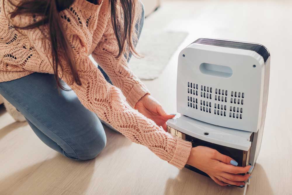 A Person Cleaning Portable Dehumidifier