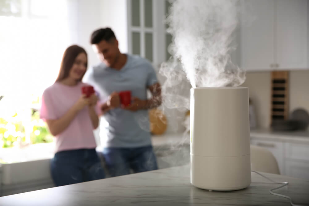 Portable Humidifier Placed in the Kitchen Area